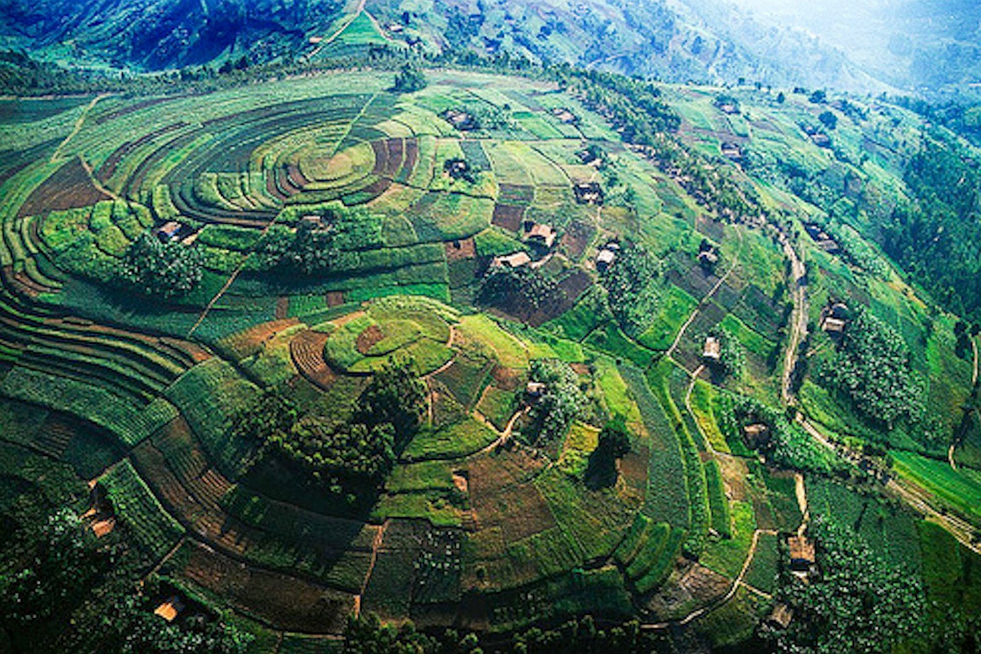 fly_in_bwindi